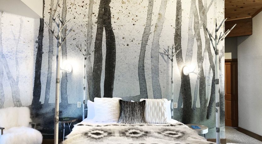 Photo of Shadows & Tall Trees