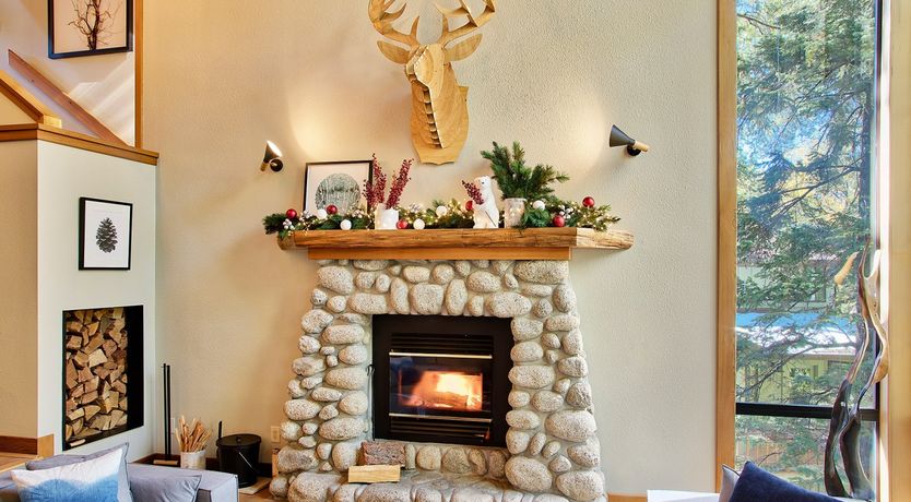 Photo of Shadows & Tall Trees