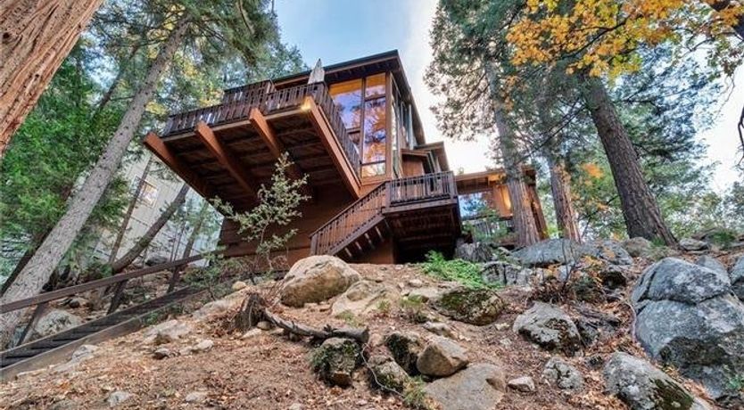 Photo of Shadows & Tall Trees