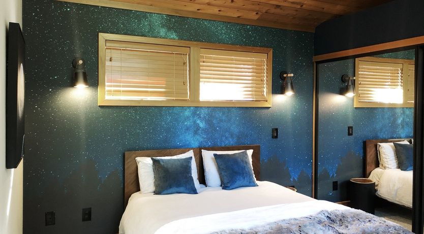 Photo of Shadows & Tall Trees