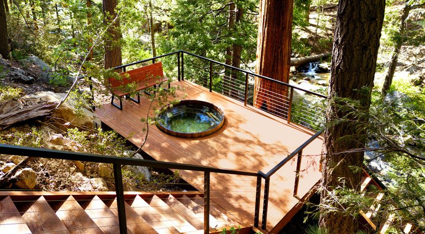 Photo of Shadows & Tall Trees