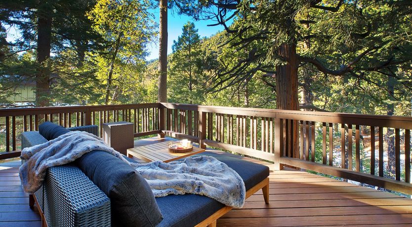 Photo of Shadows & Tall Trees