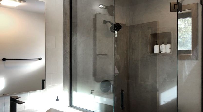 Photo of Shadows & Tall Trees