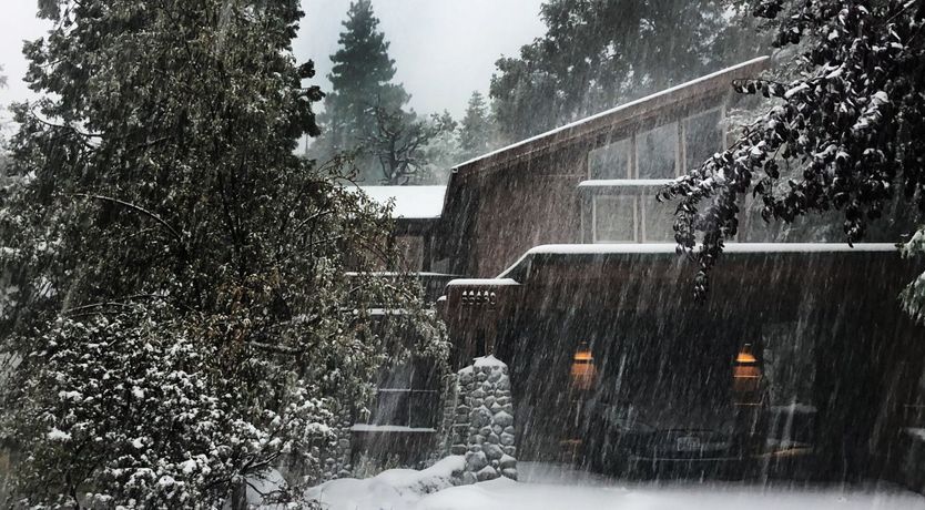Photo of Shadows & Tall Trees