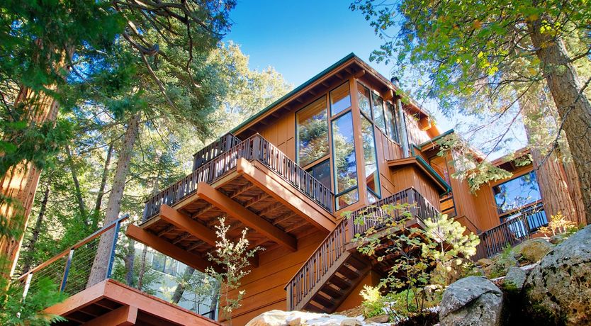 Photo of Shadows & Tall Trees