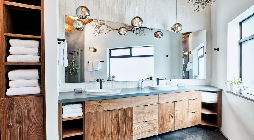 Photo of Shadows & Tall Trees