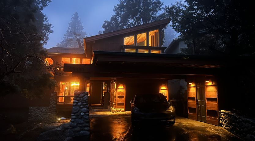 Photo of Shadows & Tall Trees