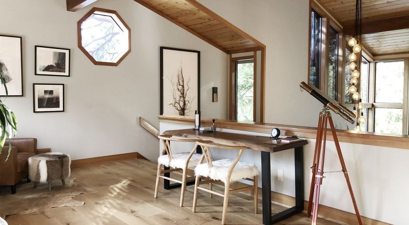 Photo of Shadows & Tall Trees