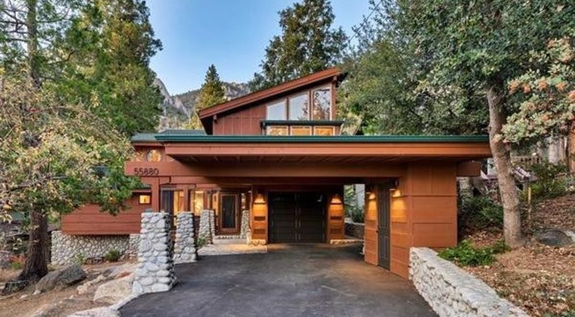 Photo of Shadows & Tall Trees