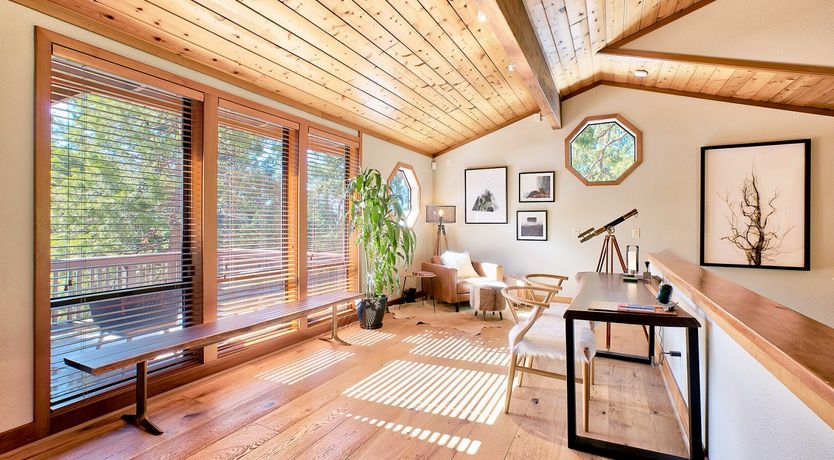 Photo of Shadows & Tall Trees