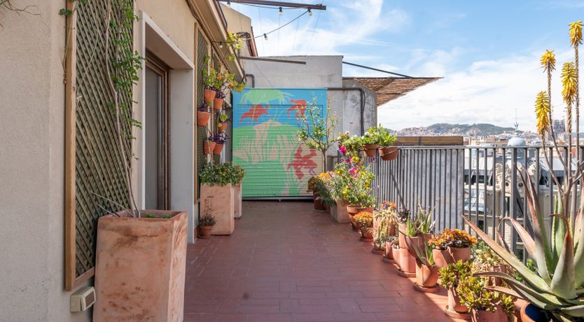 Photo of Reclaimed Dream