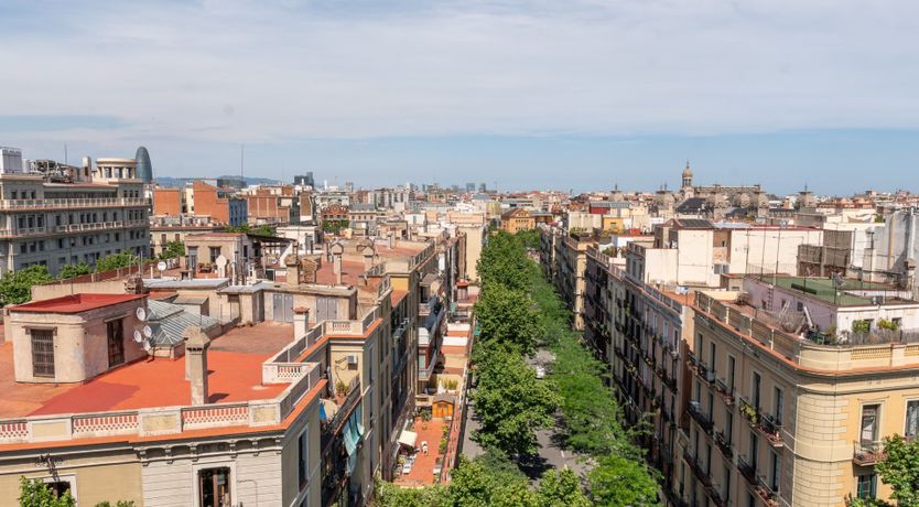 Photo of Reclaimed Dream