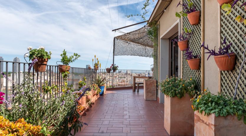 Photo of Reclaimed Dream