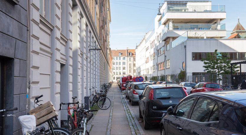 Photo of Sunny Matador