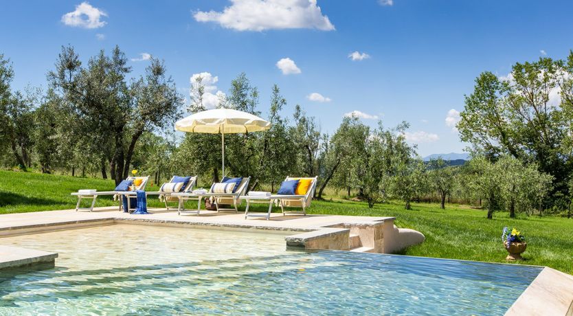 Photo of Da Vinci in Love