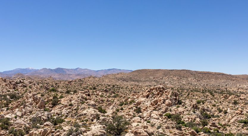 Photo of Desert Skies