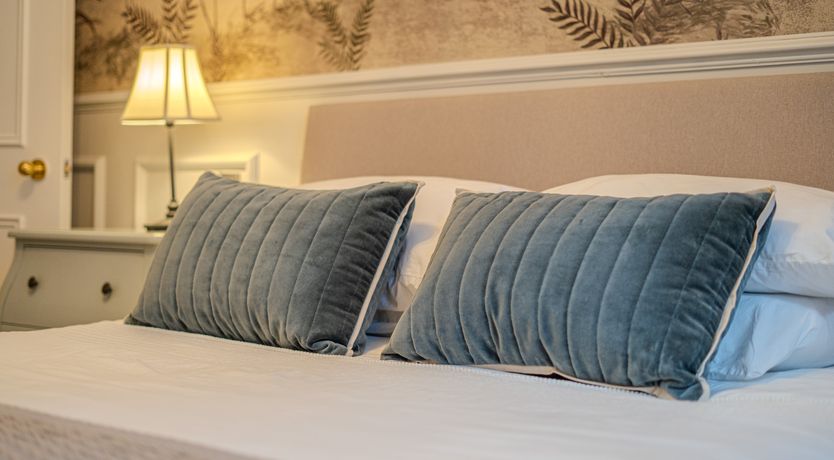 Photo of The Golden Carps