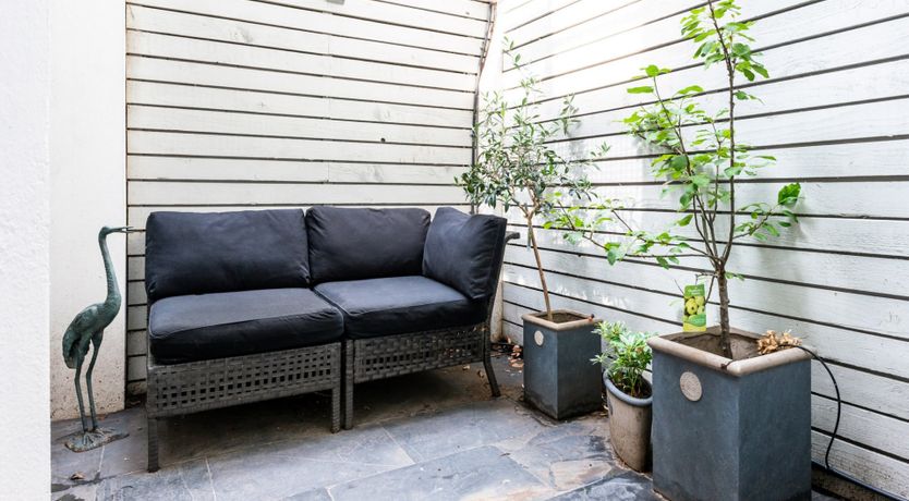 Photo of The Golden Carps