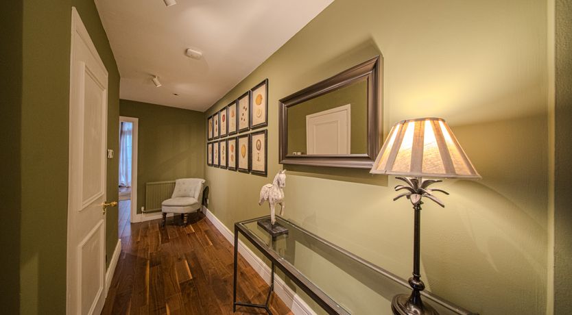 Photo of The Golden Carps