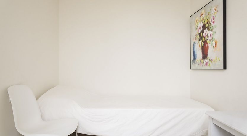 Photo of Arctic Tern