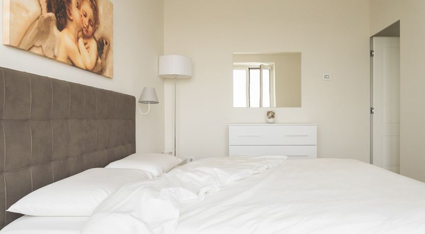 Photo of Arctic Tern