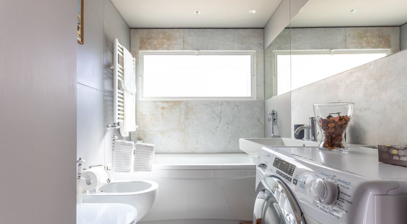 Photo of Lady Gouldian