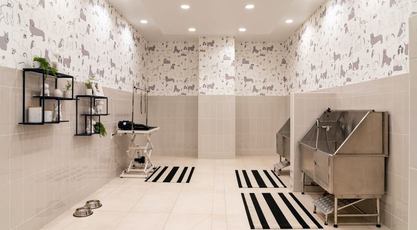 Photo of Let’s Play Ball