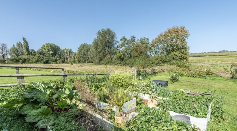 Photo of Horsing Around