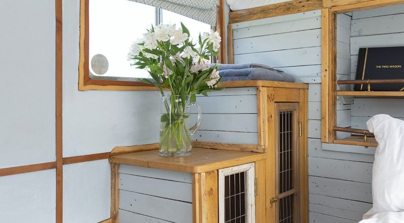 Photo of Horsing Around