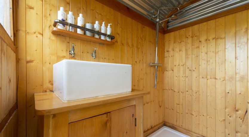 Photo of Horsing Around