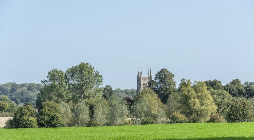 Photo of Horsing Around