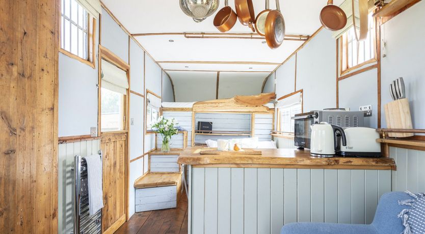 Photo of Horsing Around