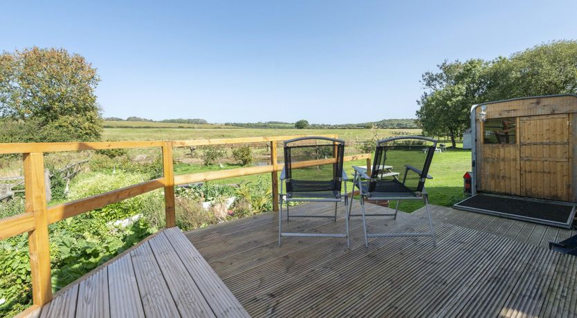 Photo of Horsing Around