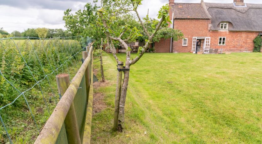 Photo of The Thatcher's Cottage