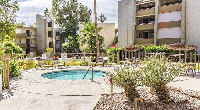 Photo of Blue Palo Verde