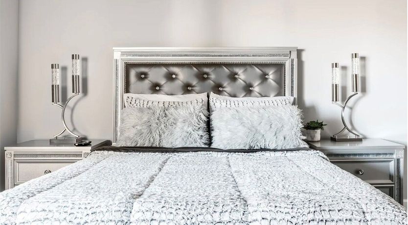 Photo of Blue Palo Verde