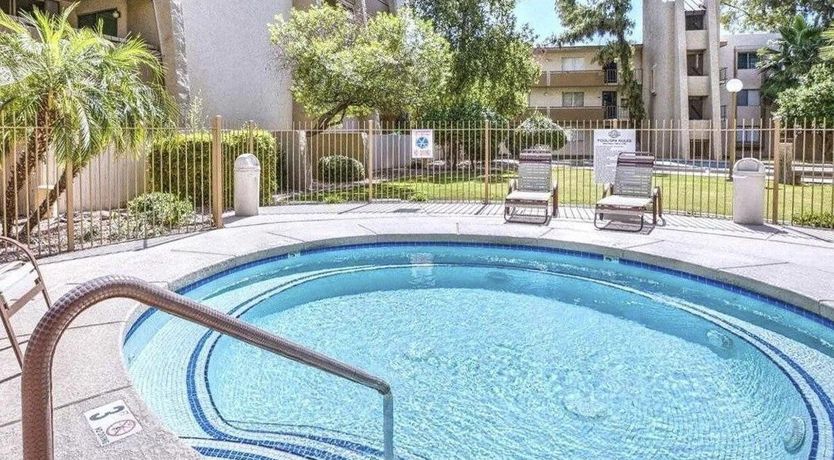 Photo of Blue Palo Verde