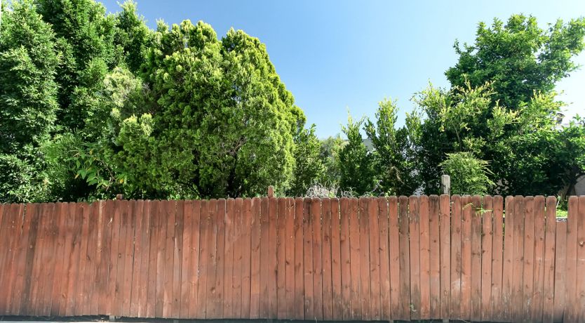 Photo of The Grey Goose