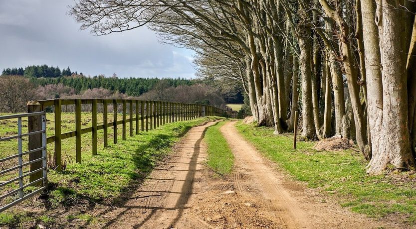 Photo of The Hilltop House