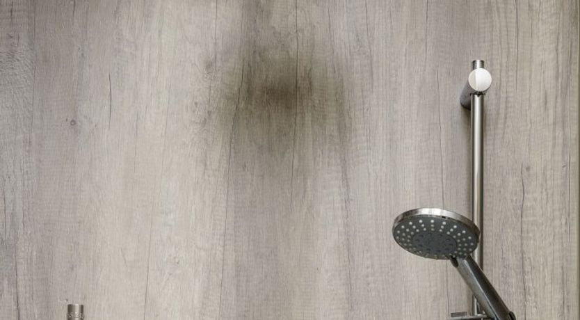 Photo of Welly Boots