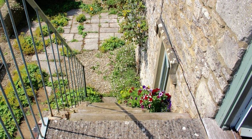 Photo of Clover Honey