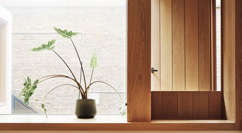 Photo of Follow the Dusk