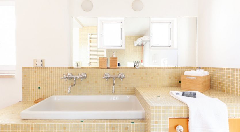 Photo of The Rooster and the Dog