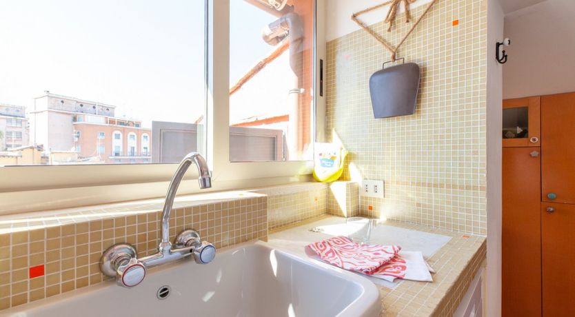 Photo of The Rooster and the Dog