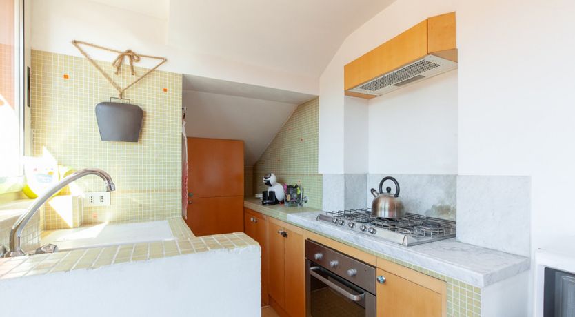 Photo of The Rooster and the Dog