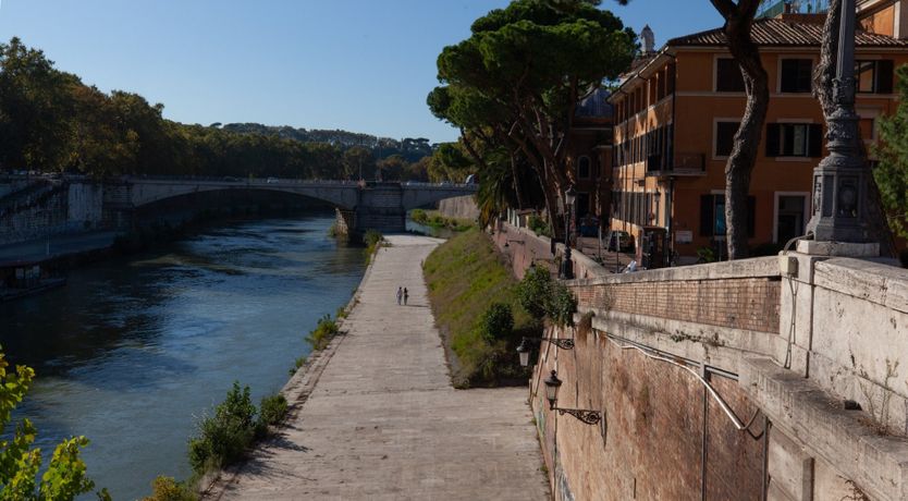 Photo of The Rooster and the Dog
