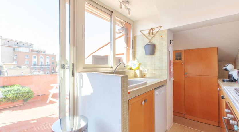 Photo of The Rooster and the Dog