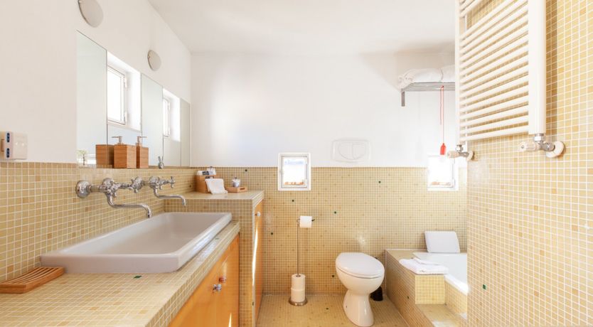 Photo of The Rooster and the Dog