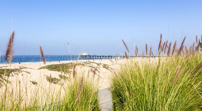 Photo of Wood & Water