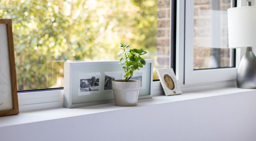 Photo of Feather Quill